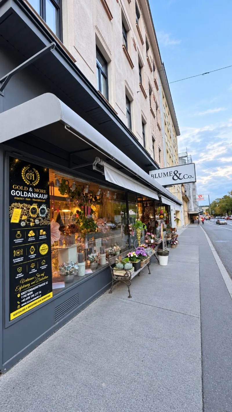 Gold & More Filiale 1190 Wien Döbling Krottenbachstraße 52